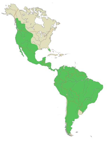 map of guyana showing mountain ranges